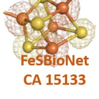 FeSBioNet(@FeS_Bio_Net) 's Twitter Profile Photo