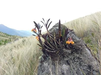 Arjuna03579451's profile picture. Love is blind