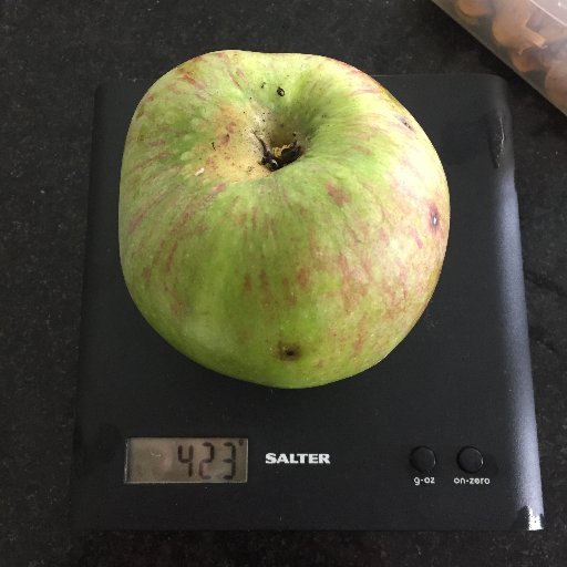 CornwallOrchard's profile picture. A new orchard of Cornish Heritage Apples, deep in the heart of rural Cornwall.  Ever tasted a Cornish Gilliflower or a Breadfruit?  And then there's the cider..