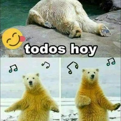 hleoeli's profile picture. 