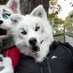 RicardoWolf (@ricard0wolf) Twitter profile photo RicardoWolf (@ricard0wolf) Twitter profile photo