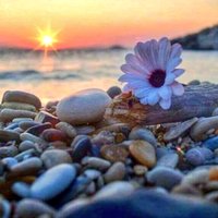 م (@2vnfk) Twitter profile photo