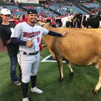 Chicken Fingers 69 (@chikenfingerz69) Twitter profile photo