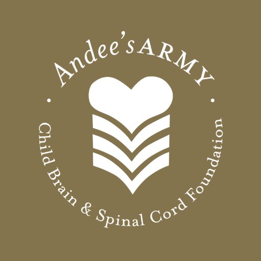 Andee's Army is an Atlanta-based 501(c)3 dedicated to funding specialized rehabilitation and care for children with brain and spinal injury and disease.