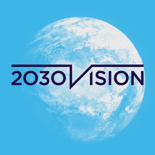 The 2030 Vision Profile