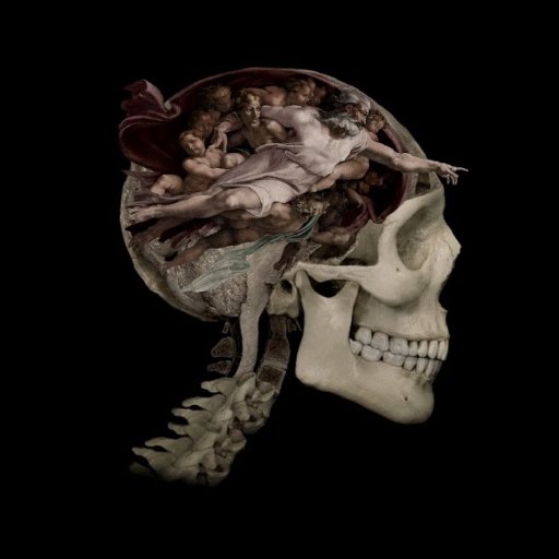 _Alper_YILMAZ_'s profile picture. 