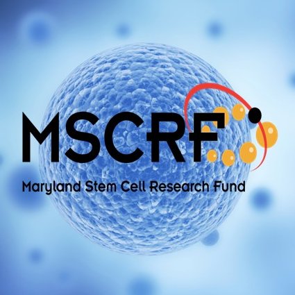 MD_Stem_Cell Profile Picture