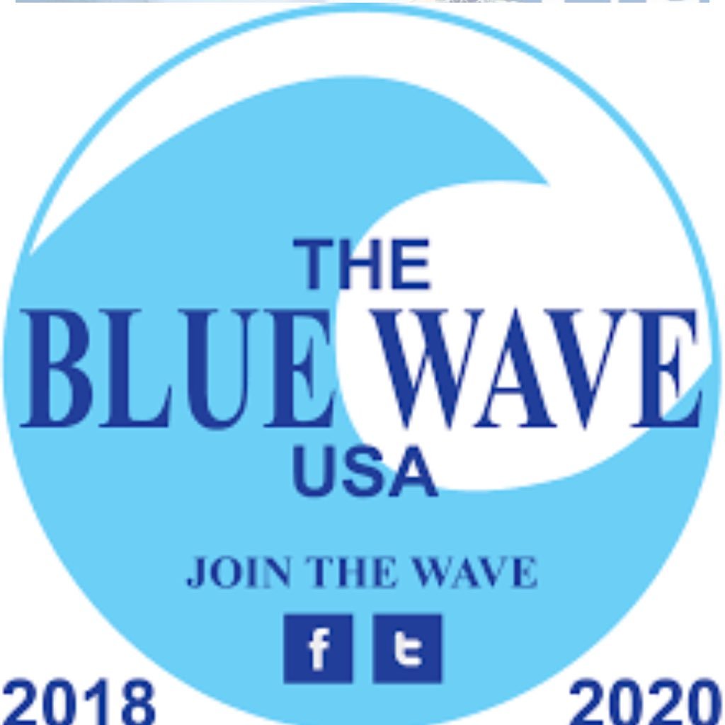 POSITIVE&PROGRESSIVE #resist #BlueWave #FL18 #palmbeach #florida #GunReformNow #SinglePayer #FlipItBlue #NoWar