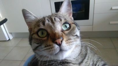 enyaber's profile picture. 