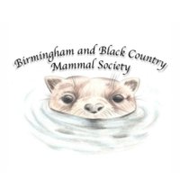 Birmingham and Black Country Mammal Society(@BBCMammals) 's Twitter Profile Photo