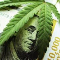 Working to build a  #cannabis #hemp industry that is safe, legal, profitable and enjoyable. Join our #LinkedIn group.
  https://t.co/5IuzozuL9O