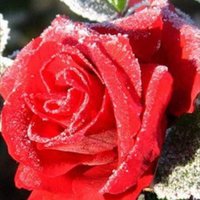 Chaimaa marzouk (@chaimaa14233270) 's Twitter Profile