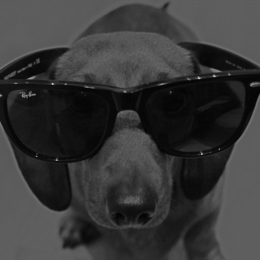 SockoriSandaler's profile picture. Aspirerande pensionär. Gillar min tax och moderaterna på Gösta Bohman's tid.