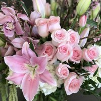 Michael's Flowers(@MichaelsFlowers) 's Twitter Profile Photo