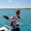 Marlene Nolan - @NTinQLD - Twitter