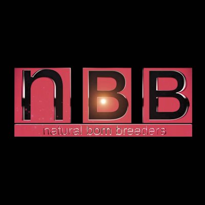 Natural Born Breeders N🅱️🅱️ Studios
