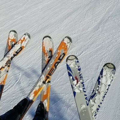 Becky_Schumann's profile picture. Track, Cross Country, and Farmer