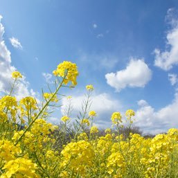 東京都出身。湘南在住。2018年4月よりタクドラになりました。2018年11月ECD認定。ユーザーネームは教習所での研修番号が88という事で採用しました。末広がりになれたらと思います。