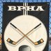 BP Hockey Assn (@BPHockeyAssn) Twitter profile photo