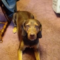 Sandy (@sandlann_s) 's Twitter Profile Photo