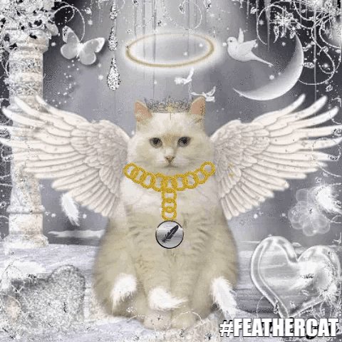 Feathercat