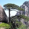 AnhuiChina's profile picture. Located in eastern China, Anhui province is famous for the Mt. Huangshan and the well-preserved Hui style residences.