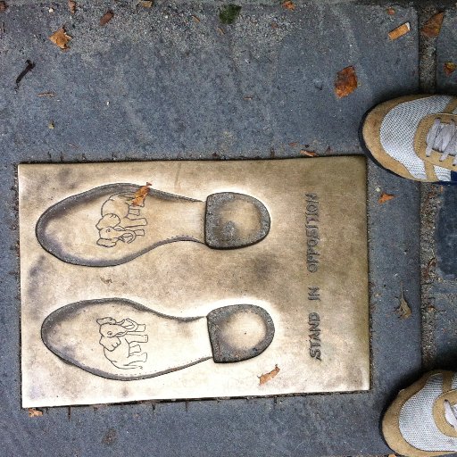 dejoyofteaching's profile picture. I am a middle school social studies teacher in the greater Seattle area. Areas of interest include: history, political science, economics, and digital learning.