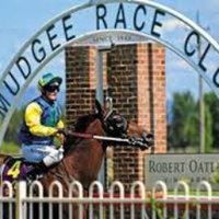 Mudgee Race Club (@mudgeeraceclub) 's Twitter Profile