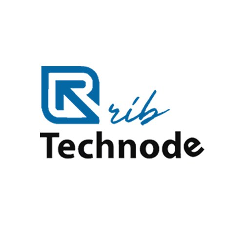 Information Technology Company