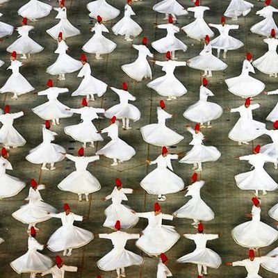 vivendium's profile picture. Strong Man