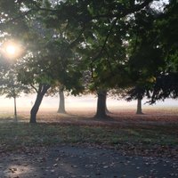 KensalRiser (@riserkensal) 's Twitter Profile