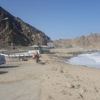 ابن عمان (@mohamme56984094) 's Twitter Profile