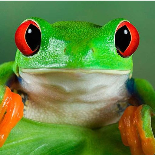 Atamauri_'s profile picture. Intento sobrevivir en un pequeño mundo lleno de bichos.
No pido a nadie que me siga pero sigo a todo el que me sigue, por respeto.