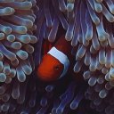 wuhao - @PeterHaoWu - Twitter