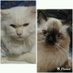 yuniar salindri (@yuyuntm) Twitter profile photo yuniar salindri (@yuyuntm) Twitter profile photo