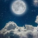 Mohd javed Qureshi - @MohdjavedQures7 - Twitter