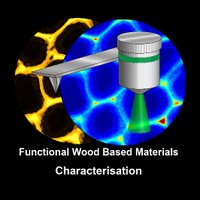 Wood Materials Science Group at ETH(@WoodMatGroupETH) 's Twitter Profile Photo