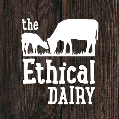 We produce traditional #organic  #unpasteurised cheese made with #rawmilk from our herd, where we keep the calves with their mothers to suckle. #theethicaldairy