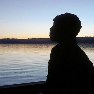 I'm a San Francisco Bay Area texture artist currently marketing my artwork to new markets. I work in digital art and abstract art on mirror canvas.