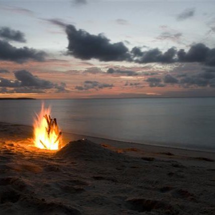 LeeD1850's profile picture. 