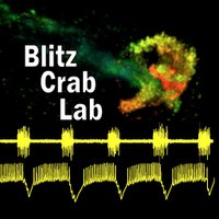 BlitzLab (@dawnblitz) 's Twitter Profile Photo BlitzLab (@dawnblitz) 's Twitter Profile Photo