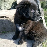 damlacoin (@damlacoin) 's Twitter Profile