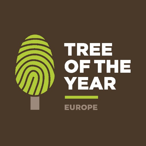 International contest looking for a tree with a story, rooted in the lives of the people and the community that surrounds it. Vote now! #EUTreeoftheYear