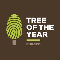 Tree of the Year(@TreeoftheYear) 's Twitter Profileg