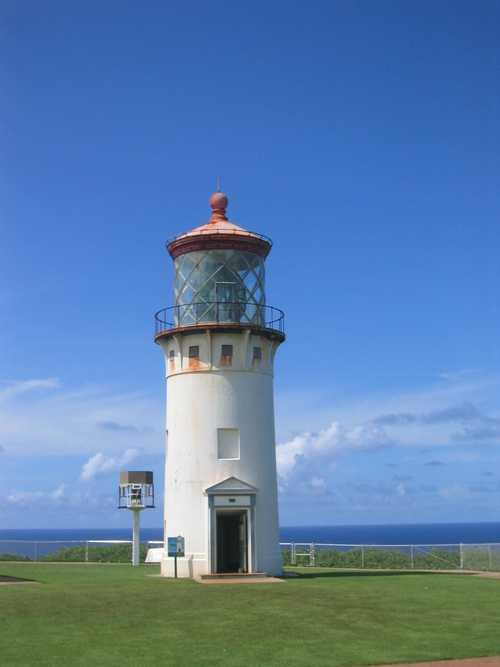 purple_breeze's profile picture. 