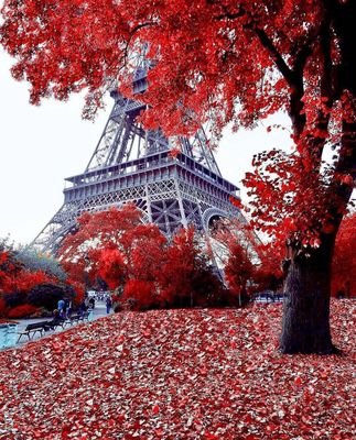WE FEATURE THE BEST PHOTOGRAPHY OF NATURE'S BEAUTY