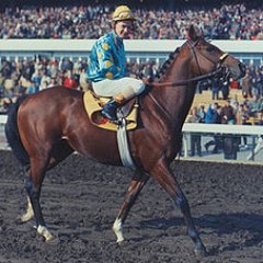 win_forglory's profile picture. おうまさん用