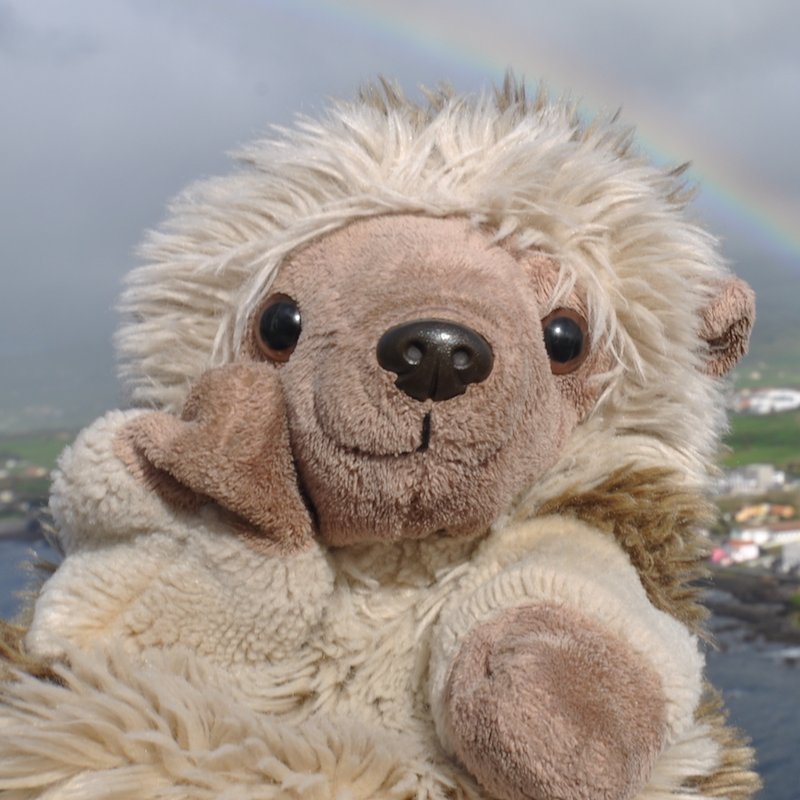 TinaTheHedgehog's profile picture. I'm a little travelling furry hedgehog.