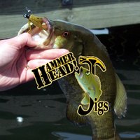 King Clyde (@hammerheadjigco) 's Twitter Profile
