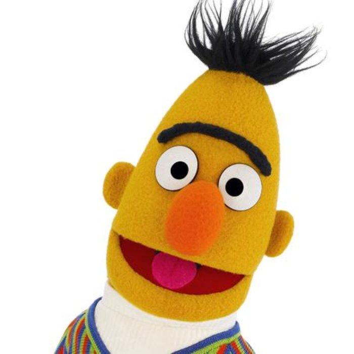 Hi! I am Bert. I live at 123 Sesame Street.